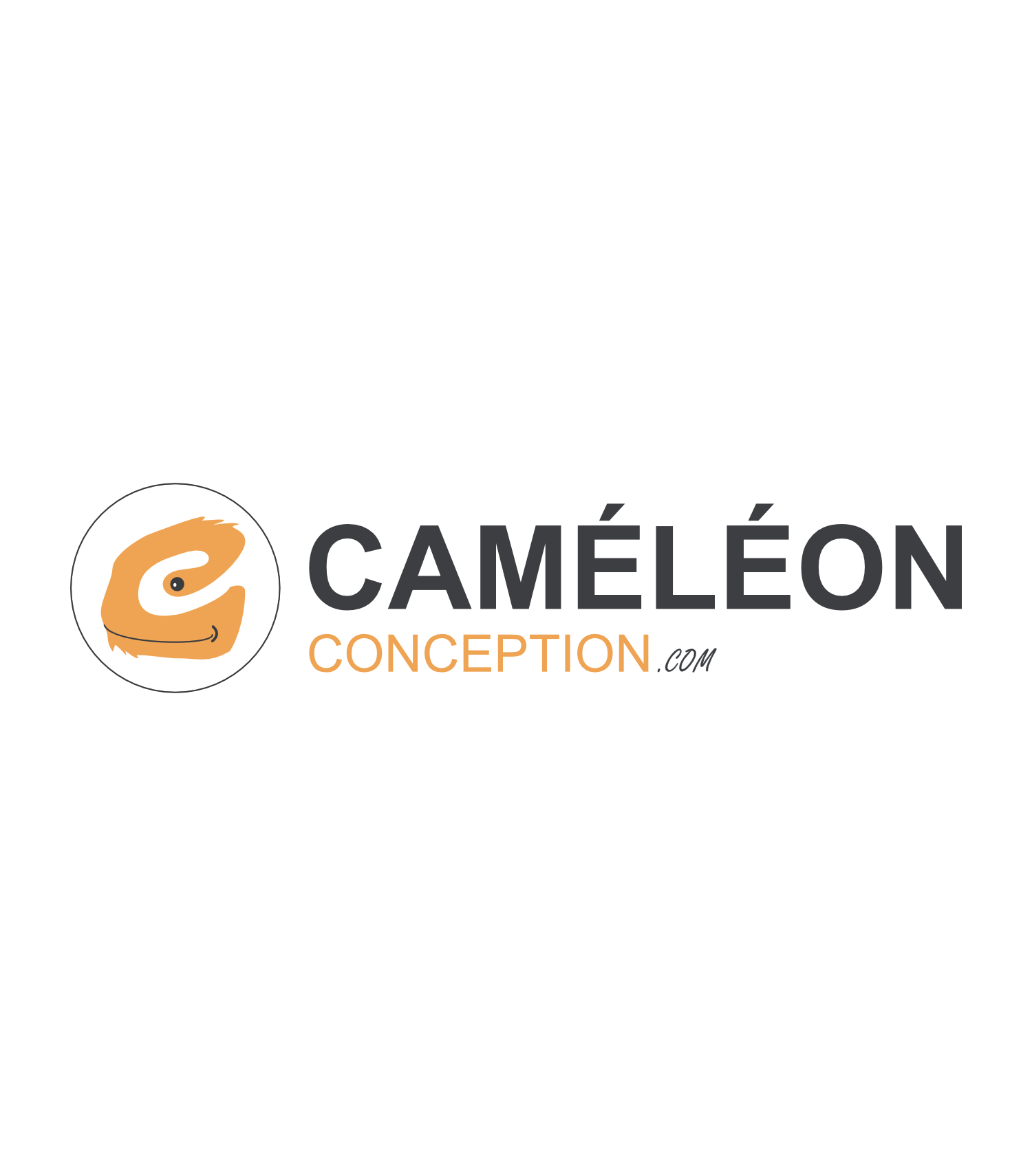Logo Caméléon conception